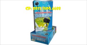 susu kambing etawa gomars