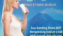 susu kambing untuk ibu hamil