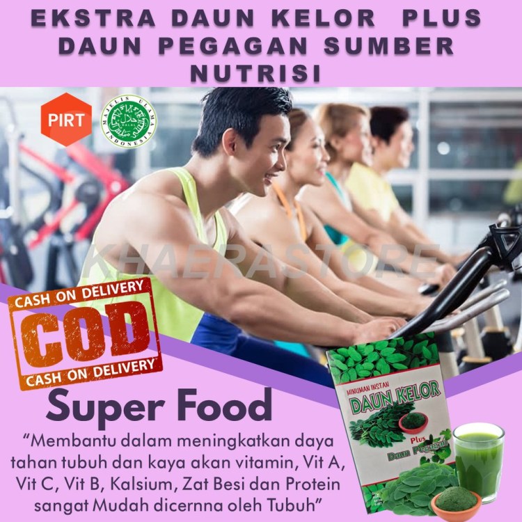 daun kelor