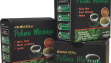 daun kelor